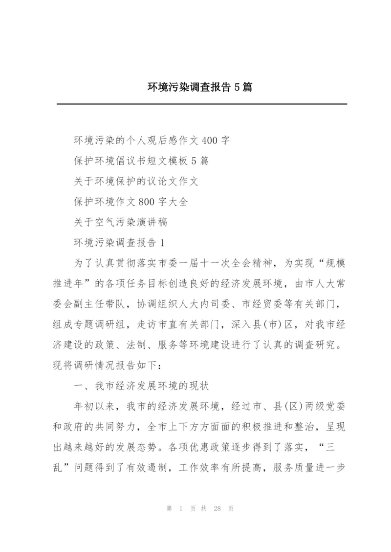 环境污染调查报告5篇.docx