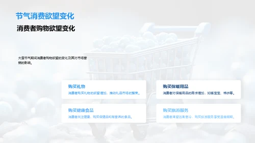 大雪节气消费洞察