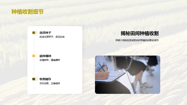 农业劳动之美