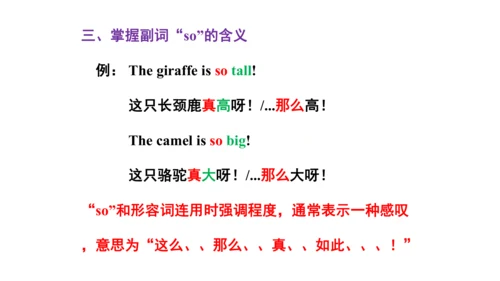 Unit 6  Would you like to take a trip? 单元知识梳理（单词+句