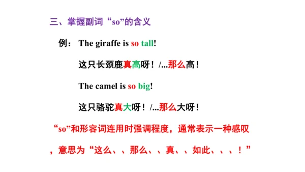 Unit 6  Would you like to take a trip? 单元知识梳理（单词+句