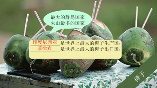 7.2 东南亚（课件53张）-七年级地理下册（人教版）