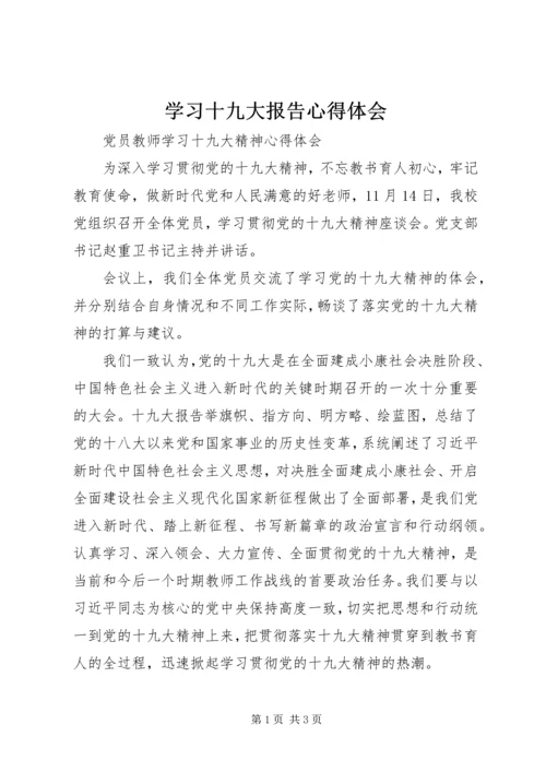 学习十九大报告心得体会 (15).docx