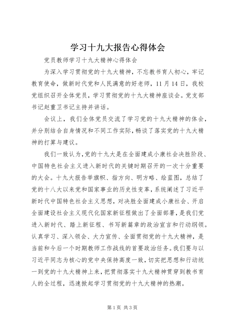 学习十九大报告心得体会 (15).docx