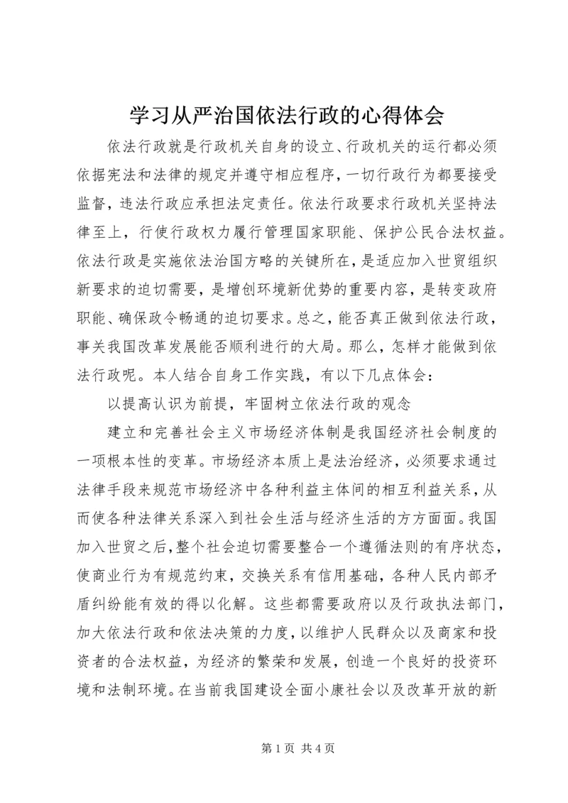 学习从严治国依法行政的心得体会 (2).docx