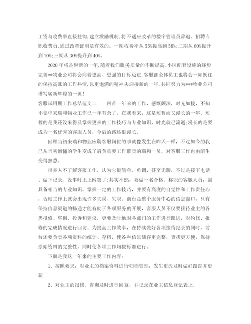 精编之客服试用期工作总结范文2.docx