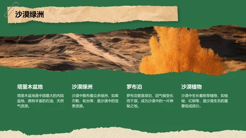 绿色摄影风新疆西域风情旅行攻略PPT模板