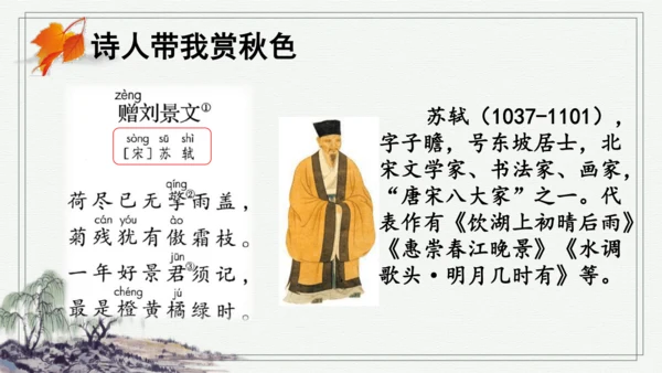 部编版三年级上册语文 4 古诗三首 课件