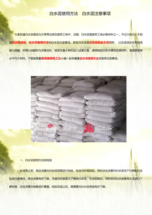 白水泥的使用方法白水泥的注意重点事项.docx