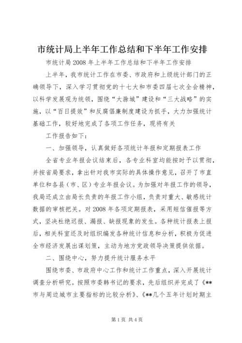 市统计局上半年工作总结和下半年工作安排 (3).docx