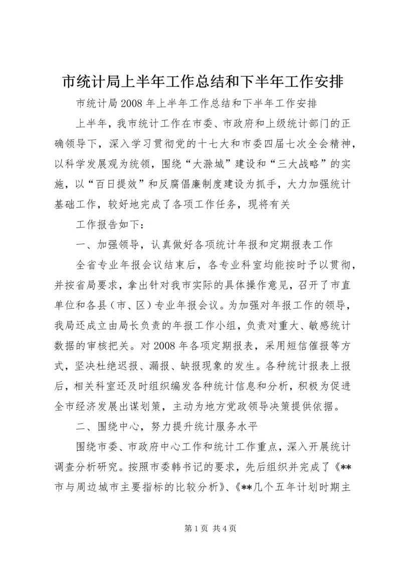 市统计局上半年工作总结和下半年工作安排 (3).docx