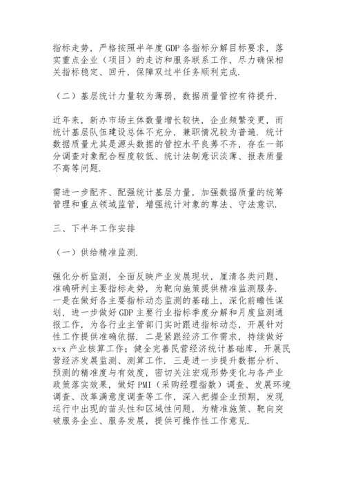 区统计局2021年上半年工作总结及下半年工作安排.docx