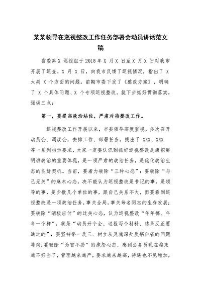 某某领导在巡视整改工作任务部署会动员讲话范文稿