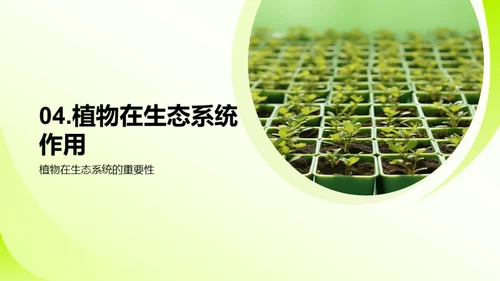 植物的奥秘世界