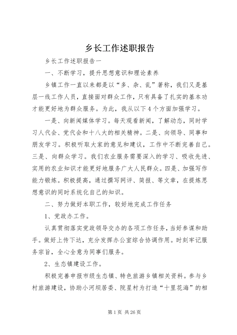 乡长工作述职报告.docx