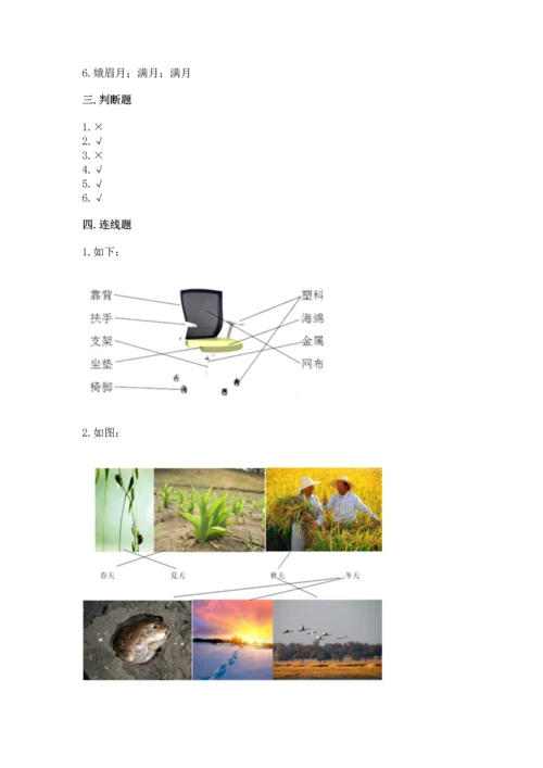 教科版科学二年级上册《期末测试卷》精品（典优）.docx
