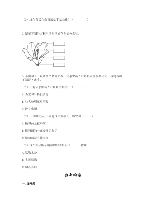 科学四年级下册第一单元《植物的生长变化》测试卷（基础题）.docx