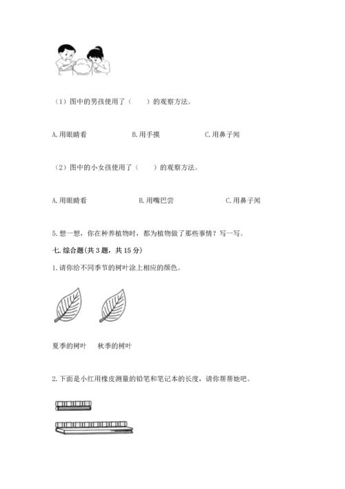 教科版一年级上册科学期末测试卷（网校专用）.docx