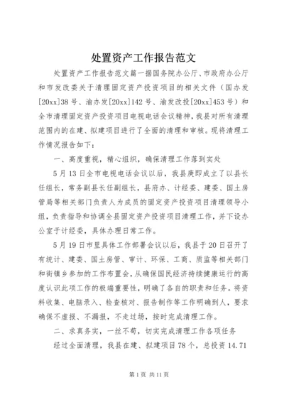 处置资产工作报告范文.docx