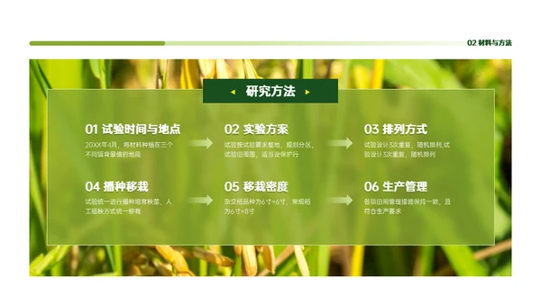 稻谷麦穗增产农作物与重金属污染通用PPT模板