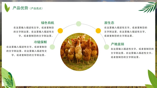 实景天然绿色生态农产品介绍PPT模板
