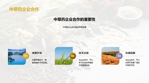 绿色农业：中草药种植新视角