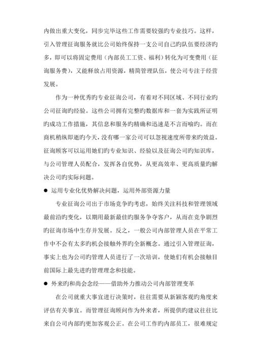 咨询公司商业综合计划书.docx