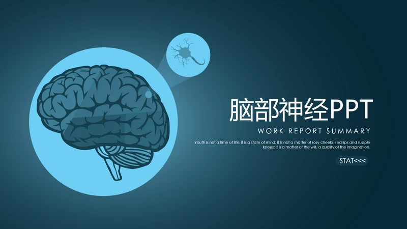 医学医疗大脑研究报告ppt动态模板