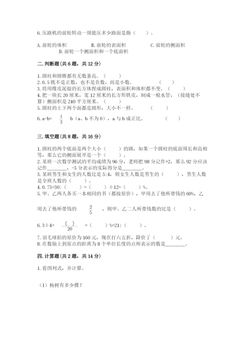 师宗县六年级下册数学期末测试卷精选.docx