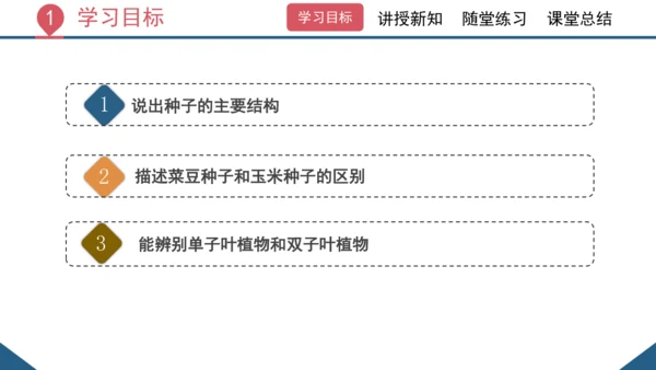 3.1.2  种子植物（课时1 种子的结构）课件-2023-2024学年人教版生物七年级上册(共24