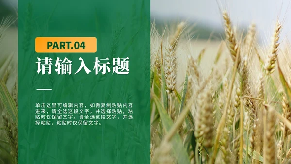 绿色简约实景全民推进乡村振兴PPT模板