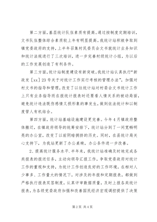 统计站XX上半年工作总结及下半年工作计划 (3).docx
