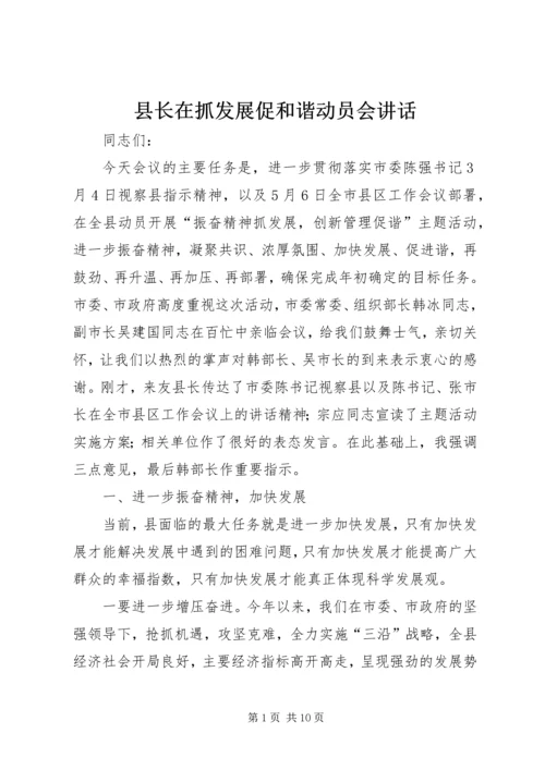 县长在抓发展促和谐动员会讲话.docx