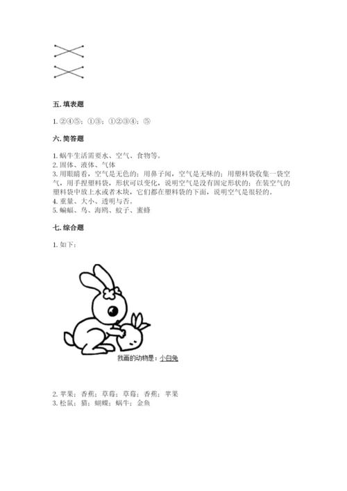 教科版小学科学一年级下册期末测试卷附答案（轻巧夺冠）.docx