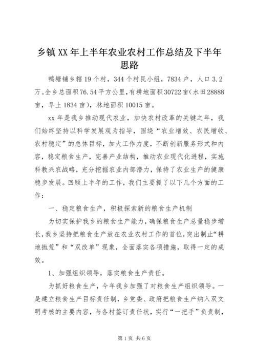 乡镇某年上半年农业农村工作总结及下半年思路.docx