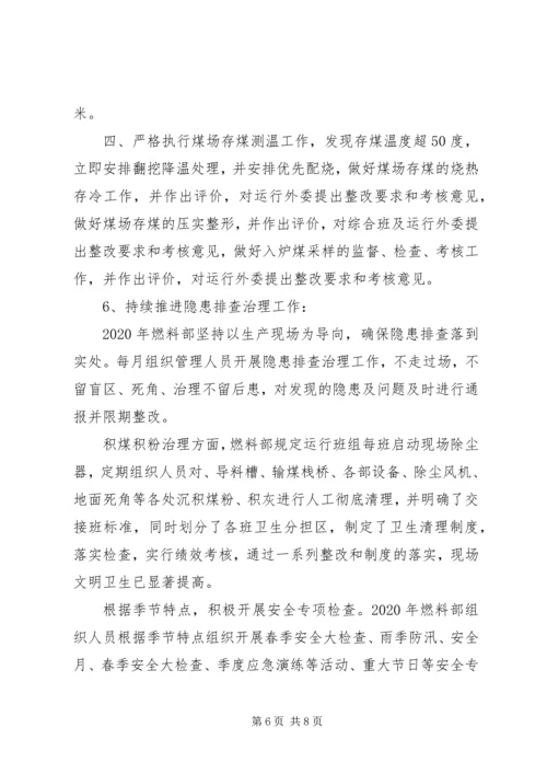 燃料部XX年上半年总结及下半年计划.docx