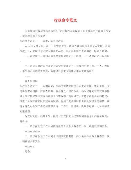 2023年行政命令范文.docx