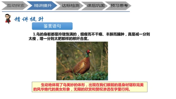 七年级上册《鸟》+“人与动物”教学设计PPT