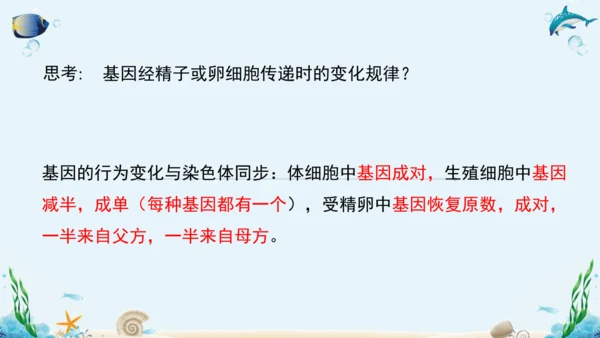 人教版八年级下册生物复习课件