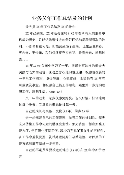 业务员年工作总结及的计划