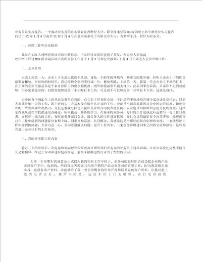 业务员实习报告计划