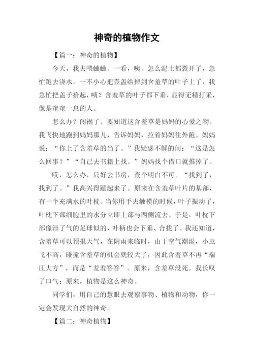 神奇的植物作文.docx