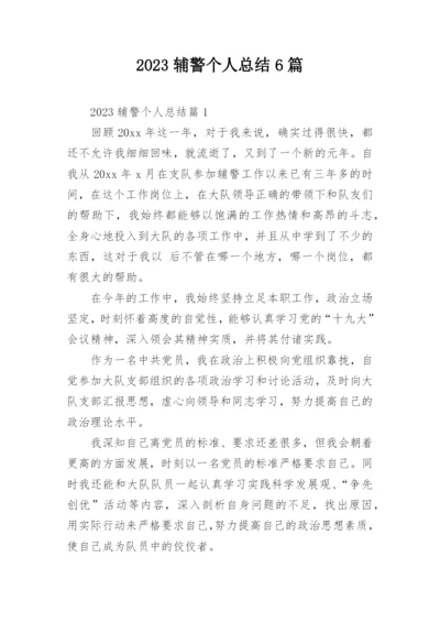 2023辅警个人总结6篇.docx