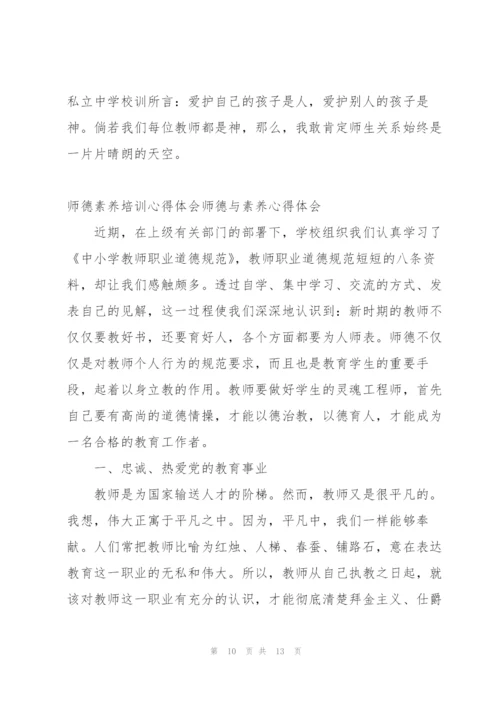师德素养培训心得体会师德与素养心得体会.docx