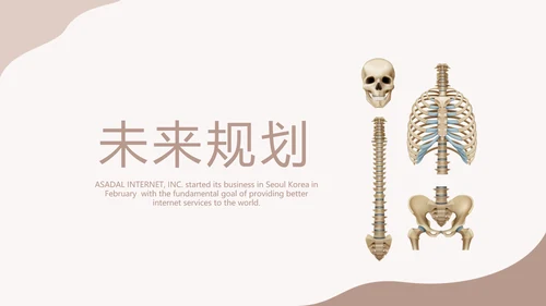 医学人体骨胳动态PPT模板