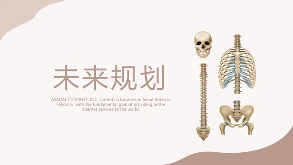医学人体骨胳动态PPT模板