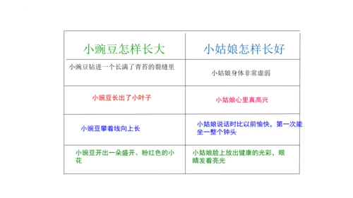 5《一个豆荚里的五粒豆》  课件