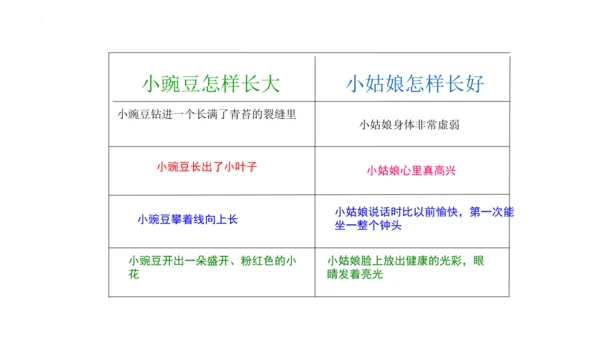 5《一个豆荚里的五粒豆》  课件