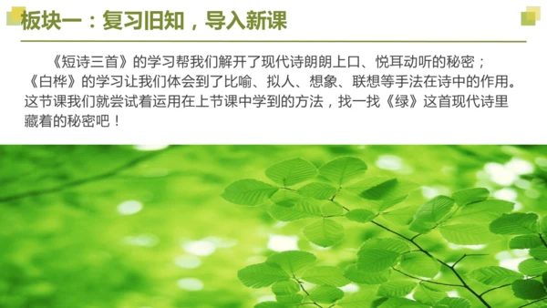 部编版2022-2023学年四年级语文下册大单元教学  第三单元    课件