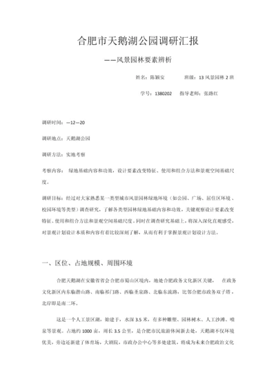 合肥市天鹅湖公园调研研究报告.docx